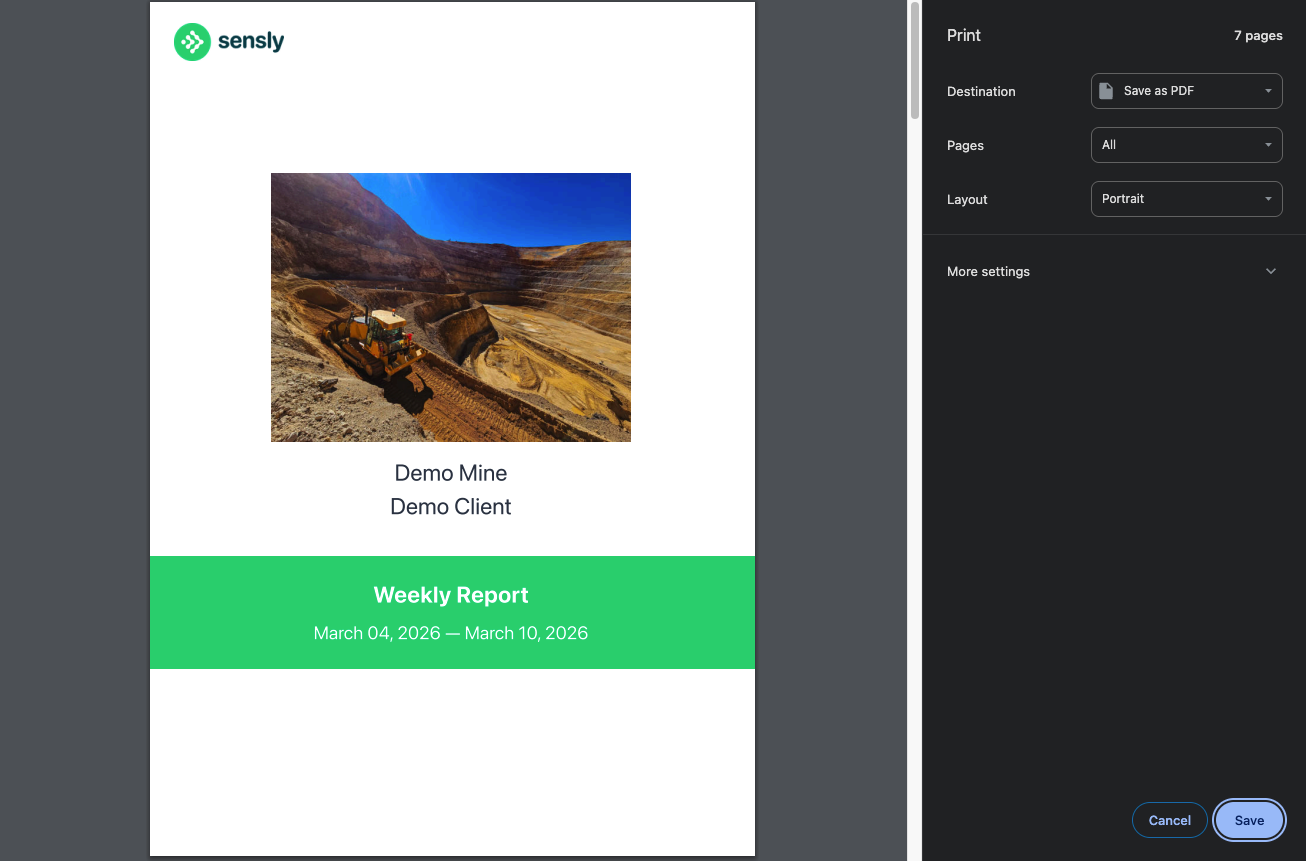 Report preview